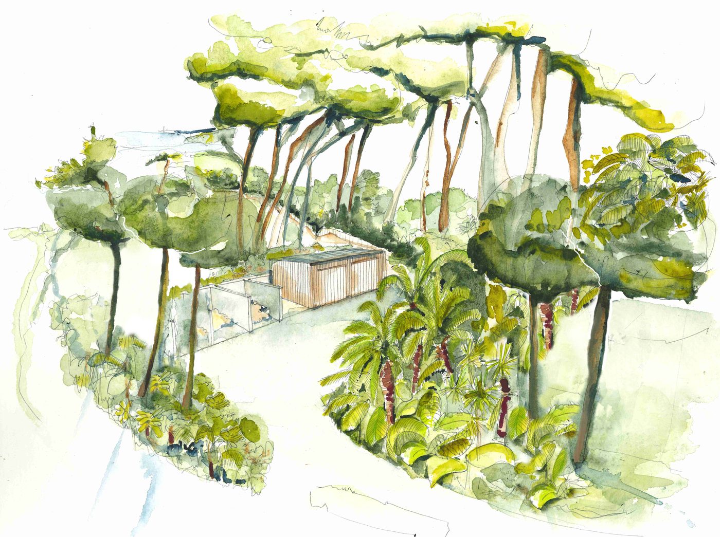 Île de Batz — Photo 3