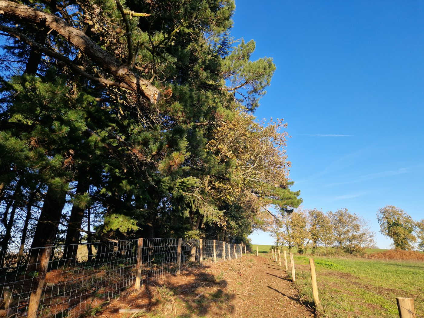 Muzillac | Itinéraire de randonnée nature — Rive Est