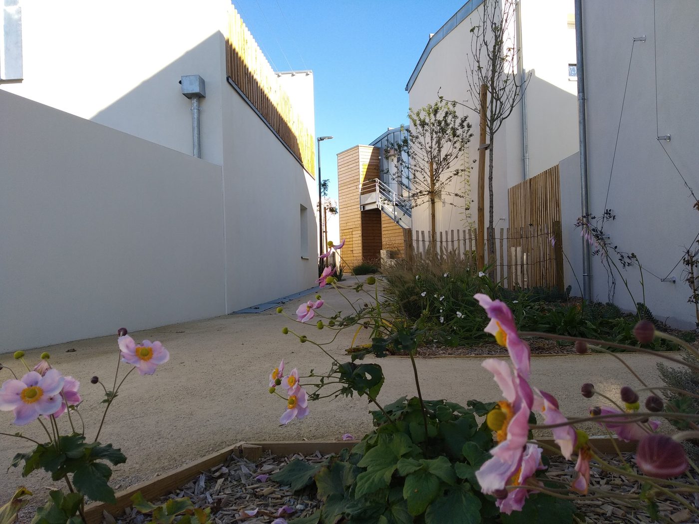 Saint-Julien-de-Concelles — Urbanisation sereine
