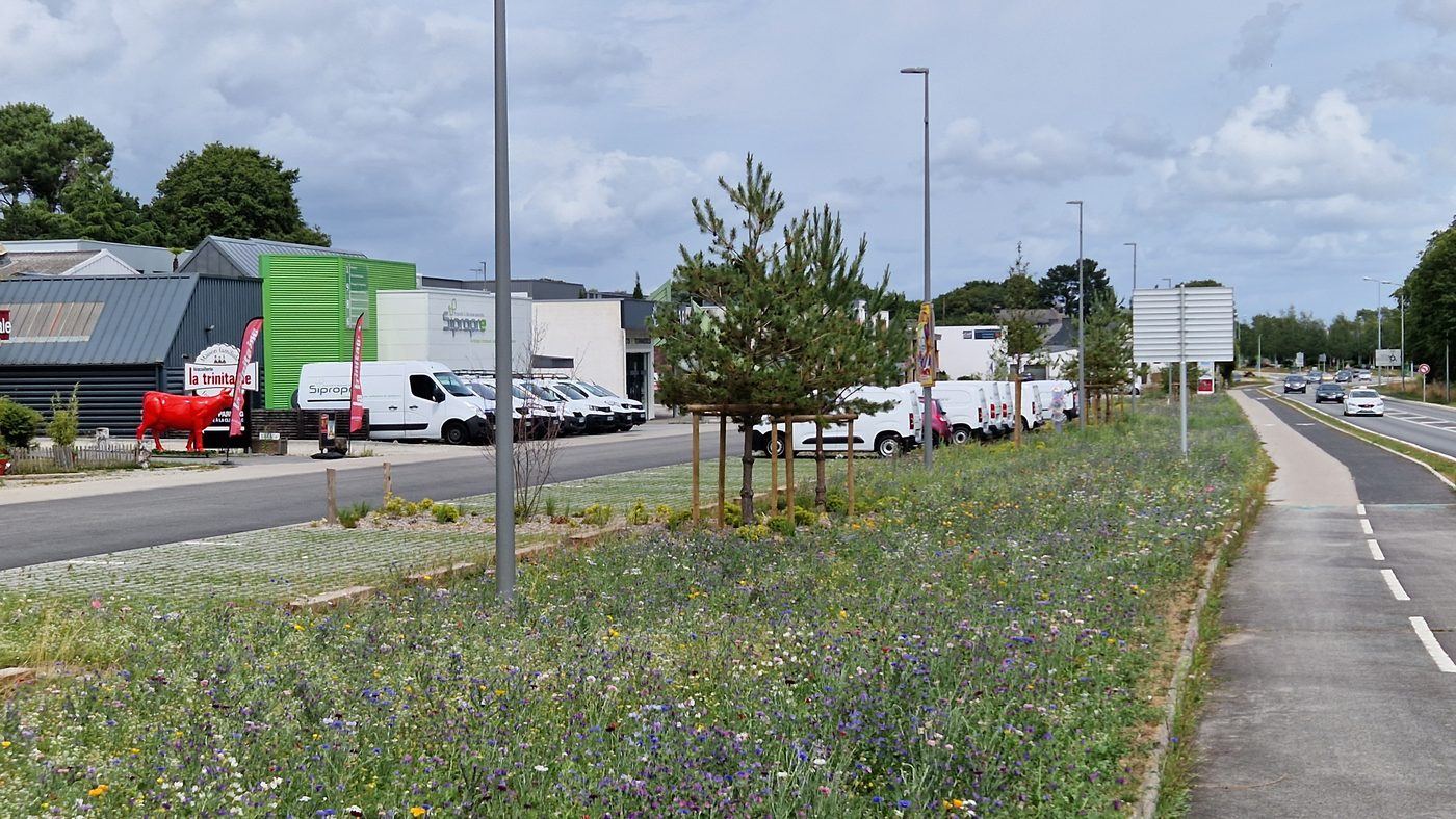 Arradon, Entre nature et commerces