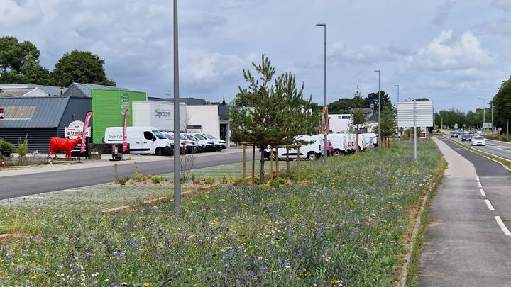 Arradon, Entre nature et commerces