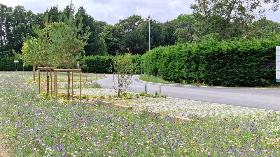 Arradon, Entre nature et commerces : vue 5