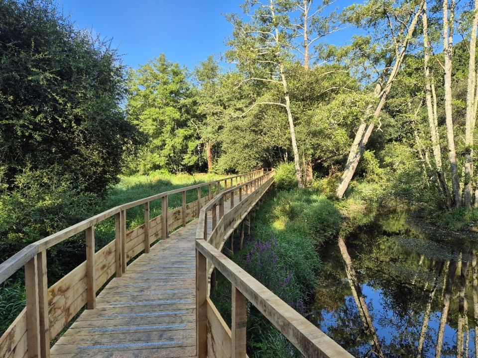 Muzillac, Itinéraire de randonnée nature — Rive Ouest : vue 3