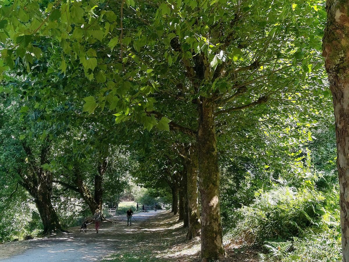 Questembert, Aménagement du parc de Célac : vue 1
