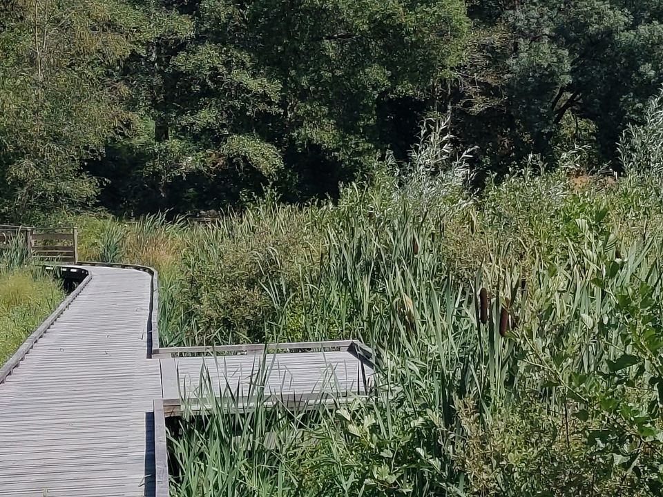 Questembert, Réalisation de passerelles : vue 5